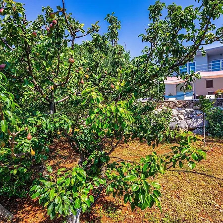 Villa Organic Gardens *