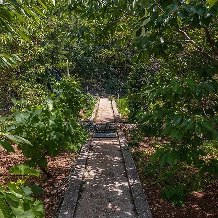 Villa Organic Gardens