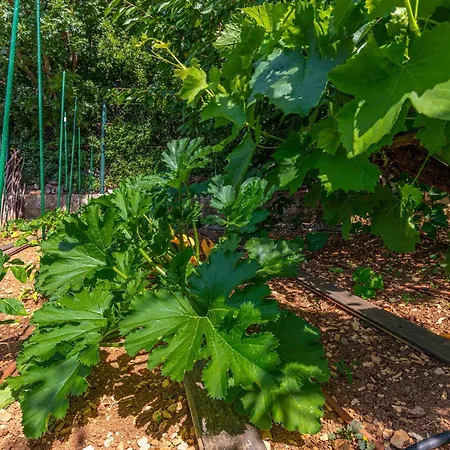 Villa Organic Gardens Crikvenica