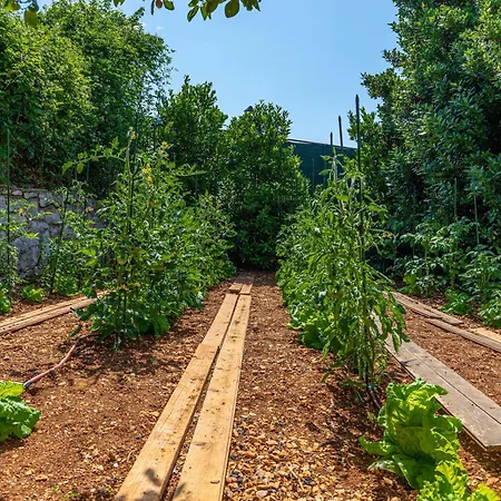 Villa Organic Gardens Crikvenica