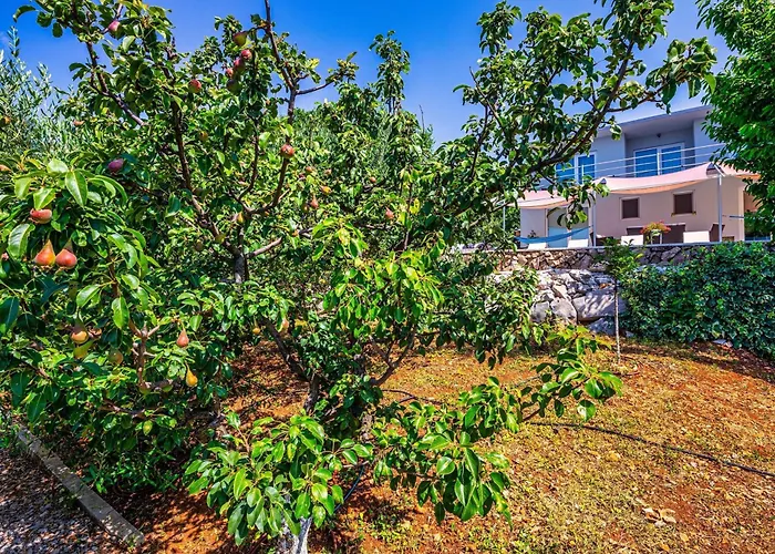 Villa Organic Gardens *
