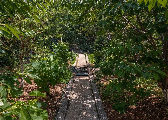 Villa Organic Gardens