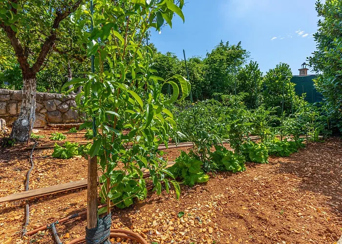 Organic Gardens