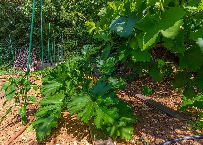 Villa Organic Gardens Crikvenica