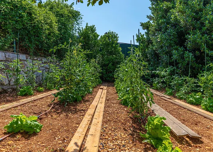 Villa Organic Gardens Crikvenica